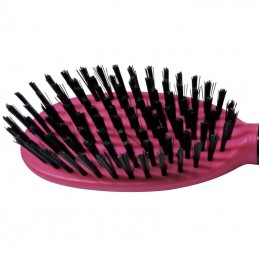 Single sided nylon brush -P006-AGC-CREATION