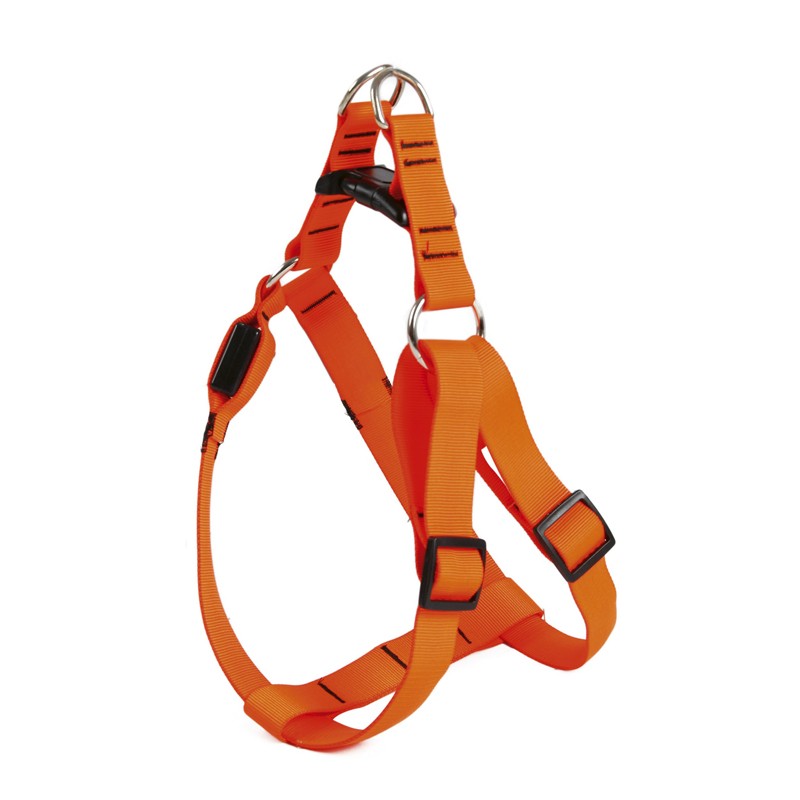 ADJUSTABLE NYLON HARNESS WITH LED -250033-AGC-CREATION