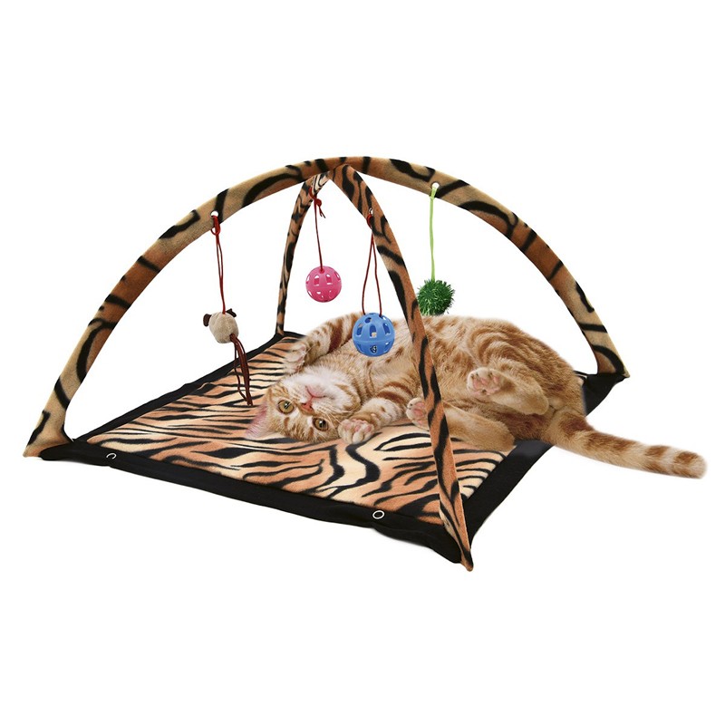 CAT ACTIVITY SET -ADZ0221HW-AGC-CREATION