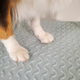 Evolutech100 adjustable table with electric chassis - FUSHIA -M828F-AGC-CREATION