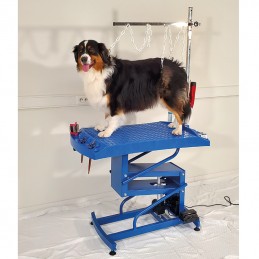 Evolutech100 adjustable table with electric chassis - FUSHIA -M828F-AGC-CREATION