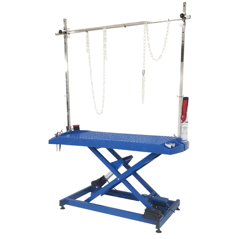 EVOLUTECH130 - ELECTRIC ADJUSTABLE TABLE - METAL CHASSIS X - ROYAL BLUE -M891-AGC-CREATION