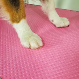 ELECTRIC ADJUSTABLE TABLE 90x60cm - METAL CHASSIS - PINK -M889-AGC-CREATION