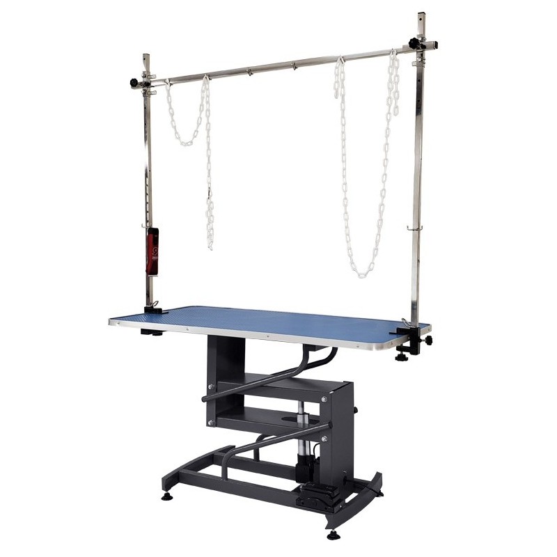 ELECTRIC ADJUSTABLE TABLE 120x60cm - METAL CHASSIS - BLUE -M887120-AGC-CREATION