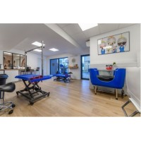 Typical grooming salon