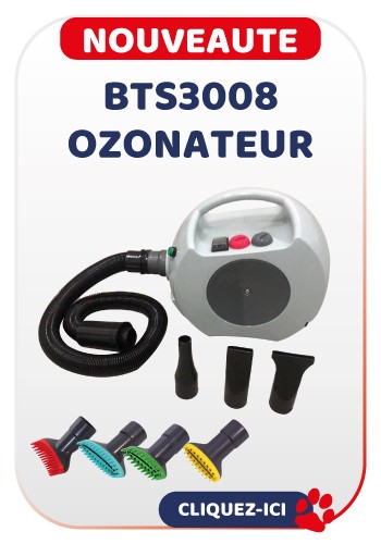 BTS OZONATEUR