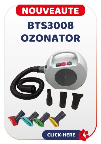 BTS OZONATOR