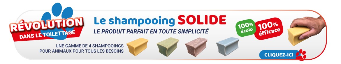 LE SHAMPOOING SOLIDE