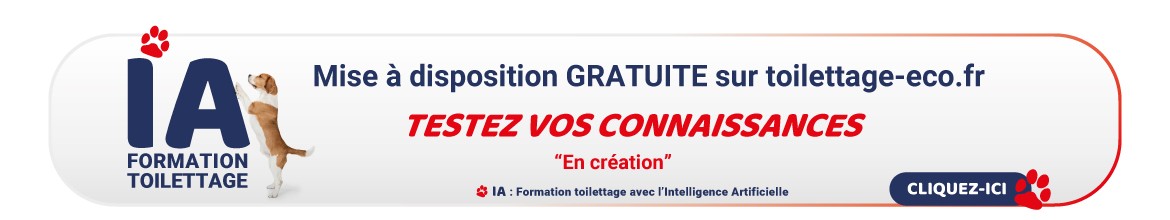 Intelligence Artificielle
