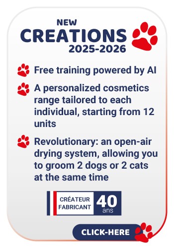 New creation 2025-2026